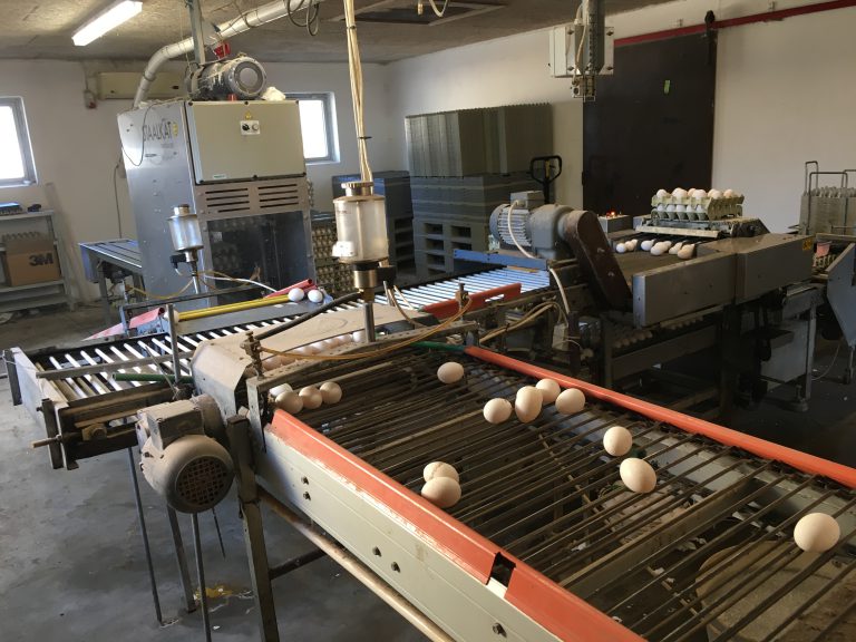 Used Egggraders & farmpackers —