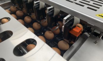 DAMTECH egg printer